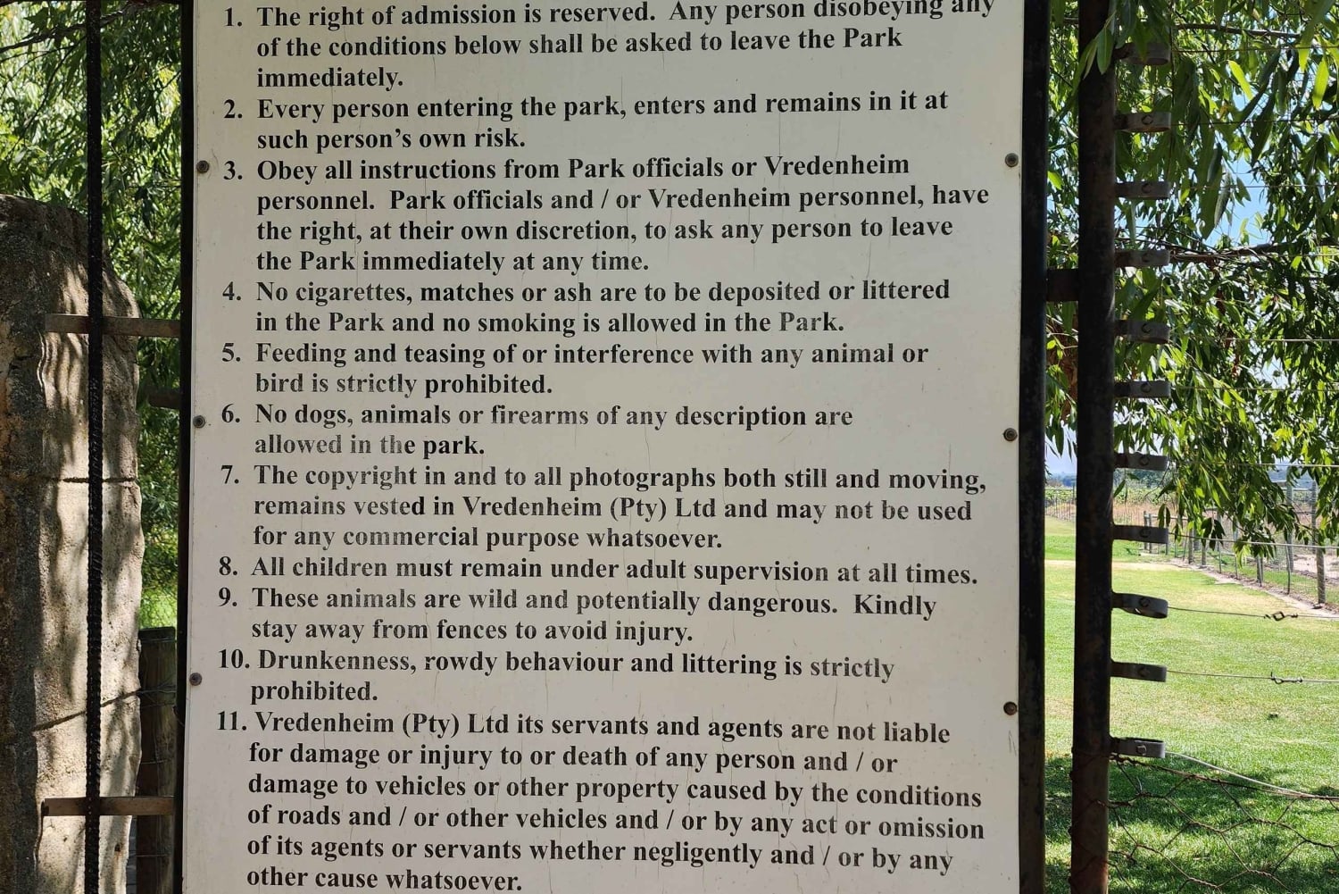 Città del Capo: Table Mountain e Parco dei Grandi Gatti di Stellenbosch