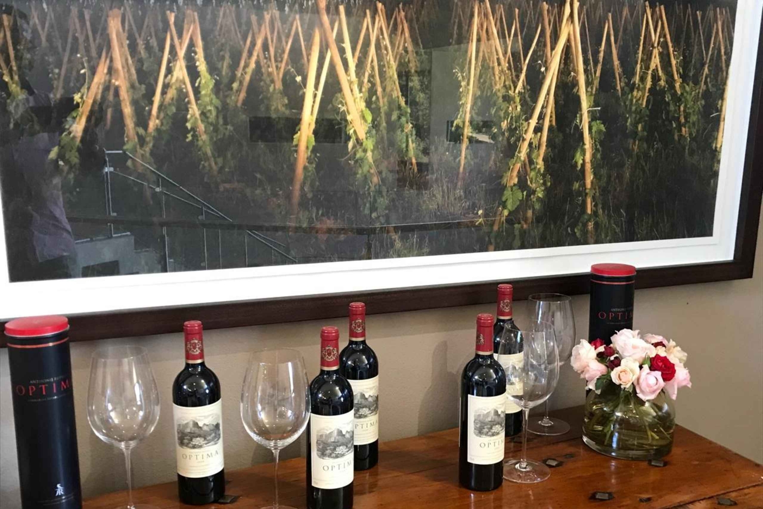 Città del Capo: Table Mountain e Parco dei Grandi Gatti di Stellenbosch