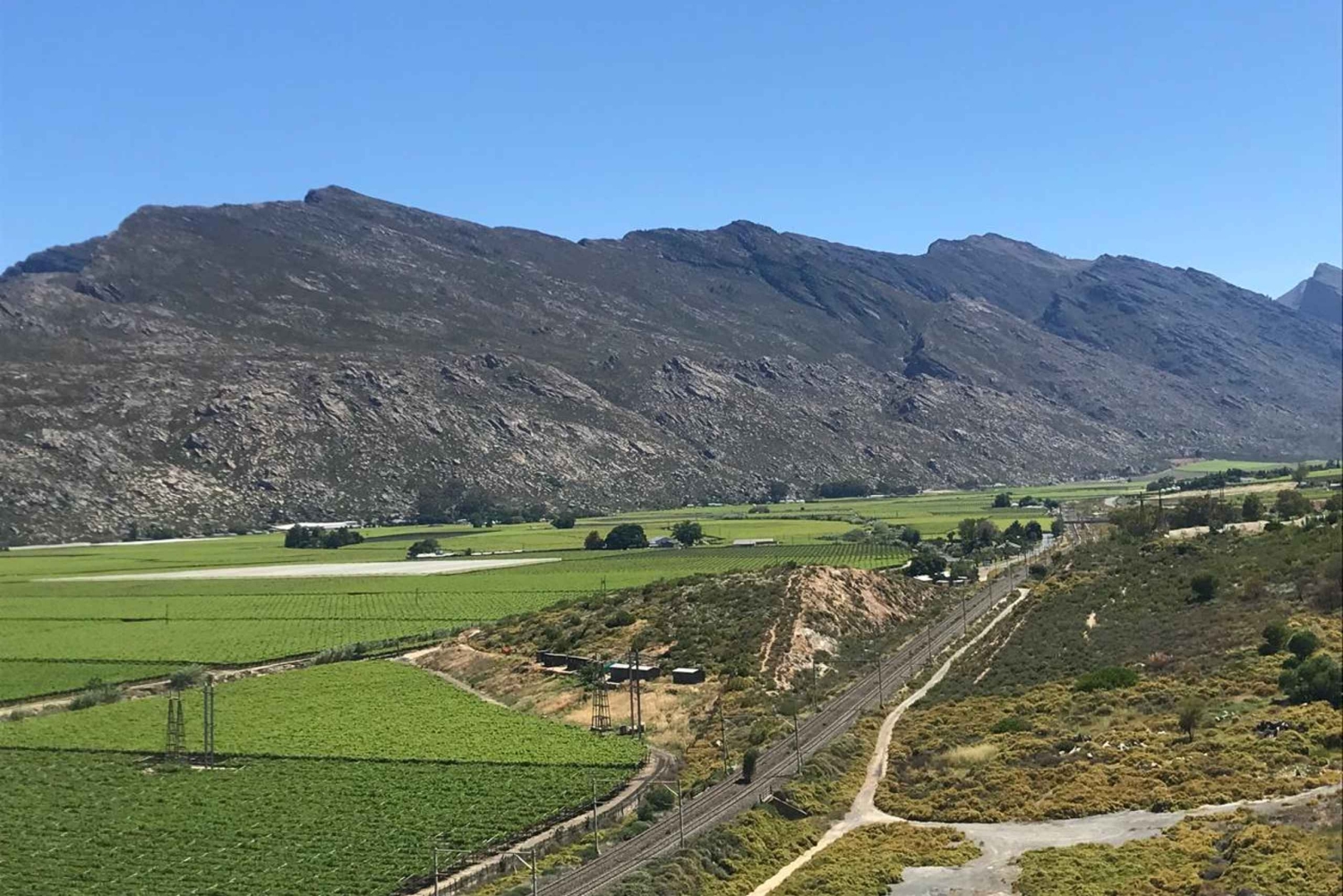 Città del Capo: Table Mountain e Parco dei Grandi Gatti di Stellenbosch