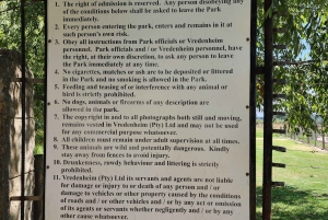 Città del Capo: Table Mountain e Parco dei Grandi Gatti di Stellenbosch