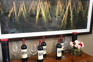 Città del Capo: Table Mountain e Parco dei Grandi Gatti di Stellenbosch