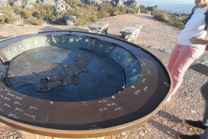 Città del Capo: Table Mountain e Parco dei Grandi Gatti di Stellenbosch