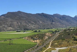 Città del Capo: Table Mountain e Parco dei Grandi Gatti di Stellenbosch