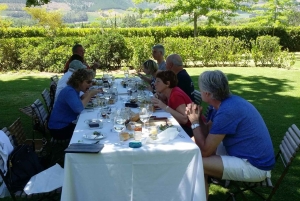 Città del Capo: Table Mountain e Parco dei Grandi Gatti di Stellenbosch