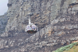 Città del Capo: Table Mountain e Parco dei Grandi Gatti di Stellenbosch