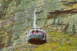 Cidade do Cabo: Table Mountain, Bo Kaap e excursão aos diamantes
