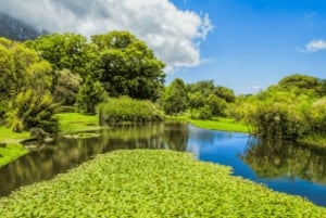 Città del Capo: Table Mountain, Bo-Kaap, degustazione di vini e altro ancora