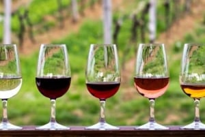 Città del Capo: Table Mountain, Bo-Kaap, degustazione di vini e altro ancora