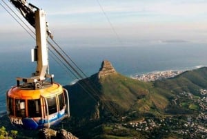 Città del Capo: Table Mountain, Bo-Kaap, degustazione di vini e altro ancora