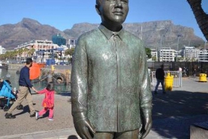 Città del Capo: Table Mountain, Bo-Kaap, degustazione di vini e altro ancora