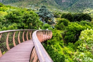 Città del Capo: Table Mountain, Bo-Kaap, degustazione di vini e altro ancora