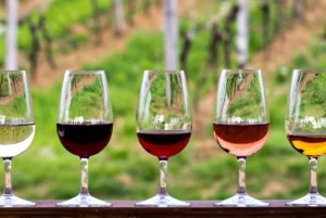 Kaapstad: Tafelberg, Bo-Kaap en wijnproeven & meer