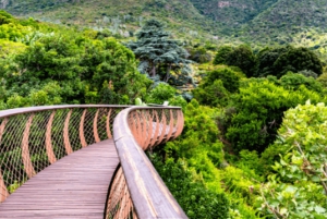 Kaapstad: Tafelberg, Bo-Kaap en wijnproeven & meer