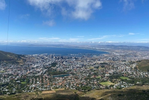 Ciudad del Cabo: Montaña de la Mesa Playa de Boulder y Punta del Cabo