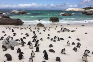 Кейптаун: пляж Столовой горы Боулдерс и Кейп-Пойнт