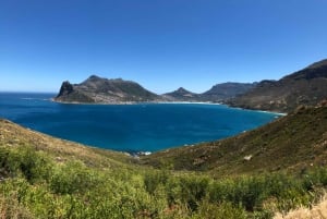 Cidade do Cabo: Excursão à Table Mountain, Boulders Beach e Cape Point