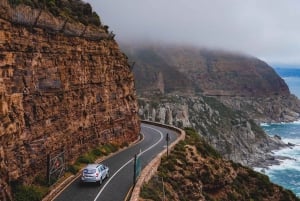 Cidade do Cabo: Excursão à Table Mountain, Boulders Beach e Cape Point