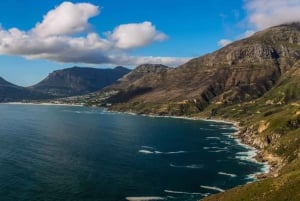 Cidade do Cabo: Excursão à Table Mountain, Boulders Beach e Cape Point