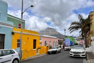 Cidade do Cabo: Excursão à Table Mountain, Boulders Beach e Cape Point