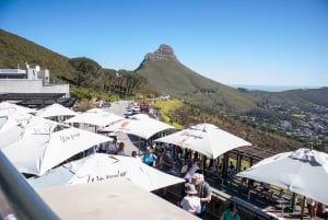 Cidade do Cabo: Excursão à Table Mountain, Boulders Beach e Cape Point