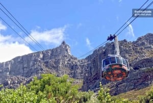 Cape Town: Taubane til Taffelberget og hopp-på hopp-av-busstur
