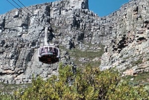 Città del Capo: biglietto per la funivia di Table Mountain