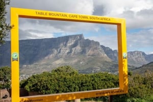 Cape Town: Table Mountain & Cape of Good Hope Full-Day Tour