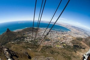 Cape Town: Table Mountain & Cape of Good Hope Full-Day Tour
