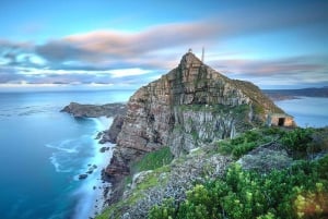 Cape Town: Table Mountain & Cape of Good Hope Full-Day Tour