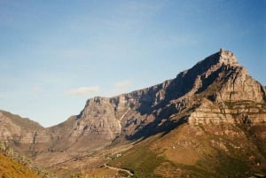 Cape Town: Table Mountain & Cape of Good Hope Full-Day Tour