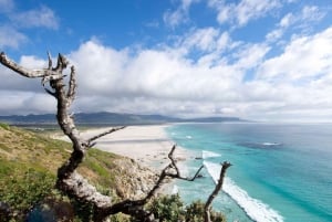 Cape Town: Table Mountain & Cape of Good Hope Full-Day Tour