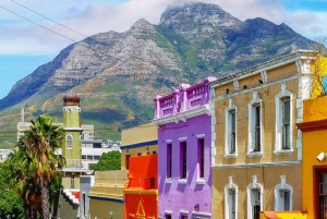 Cape Town: Table Mountain & Cape of Good Hope Full-Day Tour
