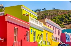 Cape Town: Table Mountain & Cape of Good Hope Full-Day Tour