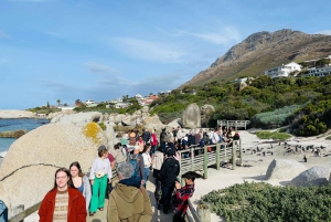 Cape Town: Table Mountain, Cape Point, Penguins Group Tour