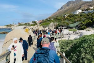 Cape Town: Table Mountain, Cape Point, Penguins Group Tour