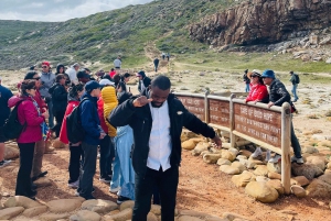 Cape Town: Table Mountain, Cape Point, Penguins Group Tour