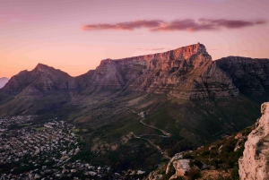 Cape Town: Taffelberget, Cape Point og pingvintur