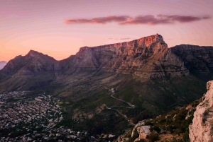 Kapsztad: Góra Stołowa, Cape Point i wycieczka z pingwinami