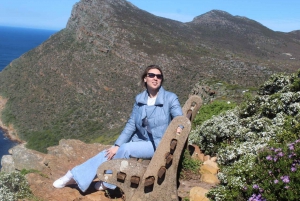 Ciudad del Cabo : Montaña de la Mesa Punta del Cabo Pingüinos de Boulders