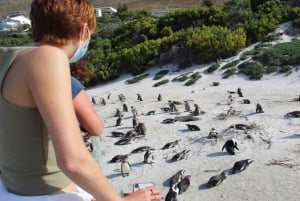 Cidade do Cabo: Table Mountain Cape Point Pinguins de Boulders