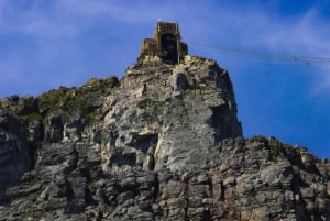 Cape Town: Table Mountain, Cape Point, Penguins Group Tour
