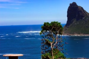 Cape Town: Table Mountain, Cape Point, Penguins Group Tour