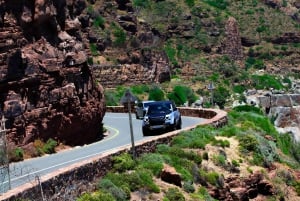 Cape Town: Table Mountain, Cape Point, Penguins Group Tour