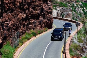 Cape Town: Table Mountain, Cape Point, Penguins Group Tour