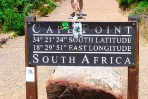 Cape Town: Table Mountain, Cape Point, Penguins Group Tour