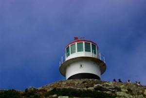 Cape Town: Table Mountain, Cape Point, Penguins Group Tour