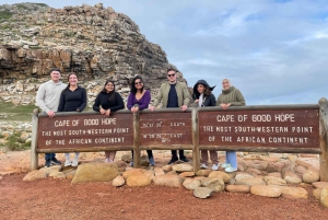 Kapstadt: Tafelberg, Cape Point & Pinguine – private Tour