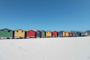 Kapstadt: Tafelberg, Cape Point & Pinguine – private Tour