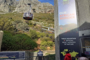 Kapstadt: Tafelberg, Cape Point & Pinguine – private Tour