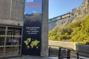 Kapstadt: Tafelberg, Cape Point & Pinguine – private Tour